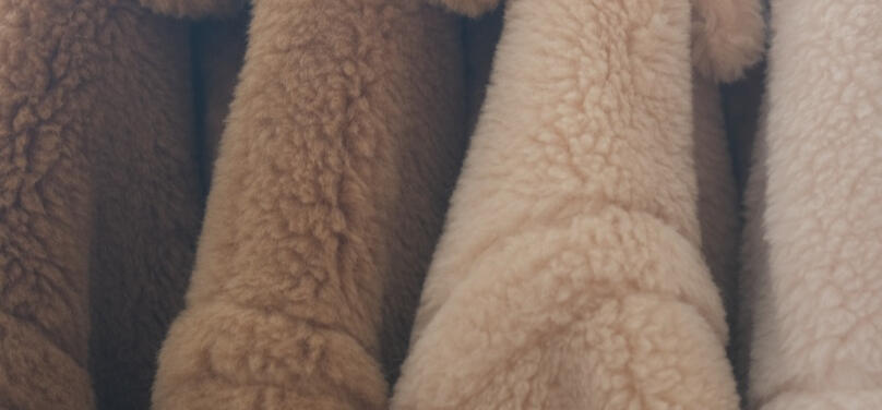 Alpaca-Wool Teddy Detail Close-up of plush alpaca-wool teddy fur in camel tones